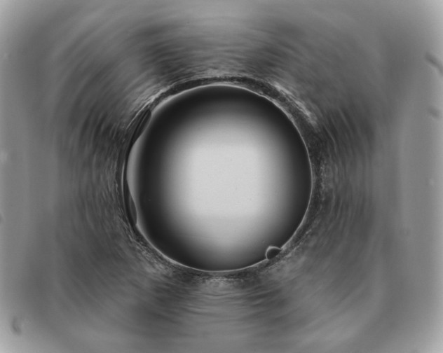 X0000091291265200708171337