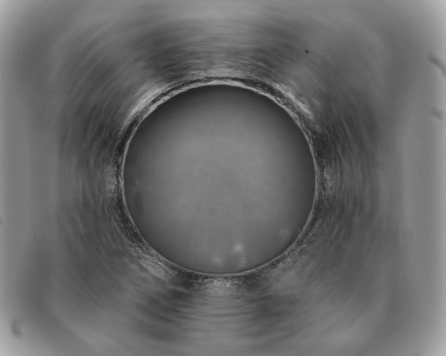 X0000091291266200708171337