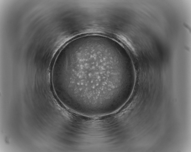 X0000091291268200708171337