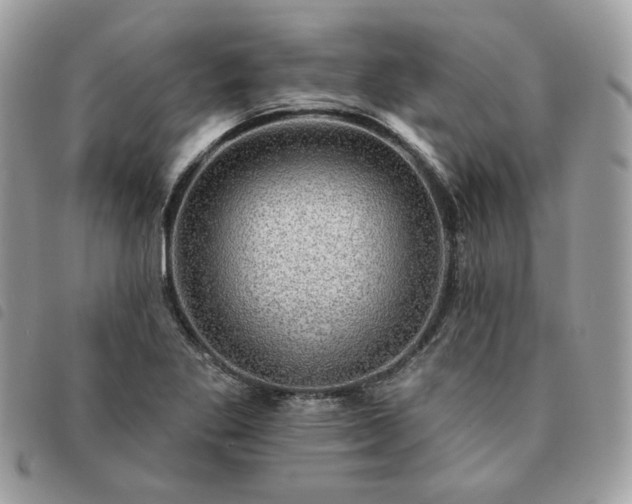 X0000091291269200708171337