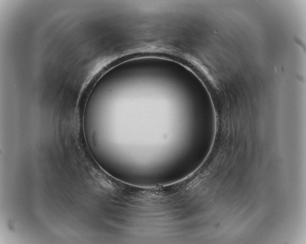 X0000091291270200708171337