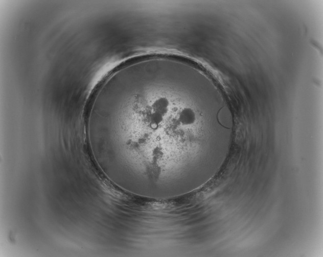 X0000091291271200708171337