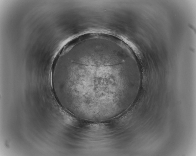 X0000091291272200708171337