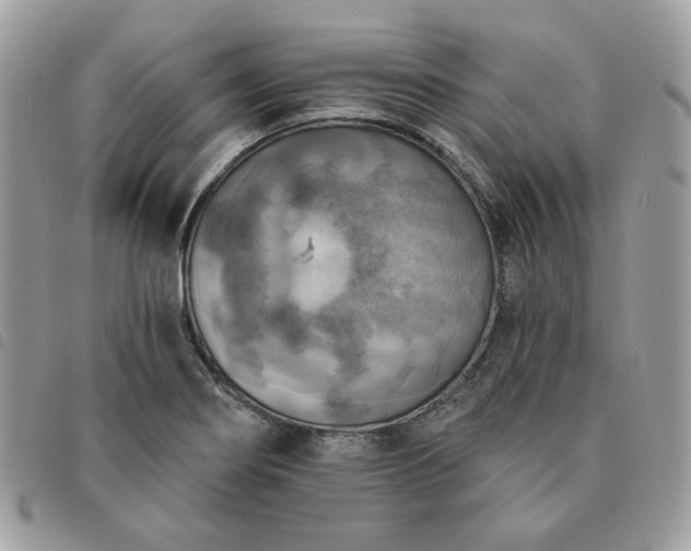 X0000091291274200708171337