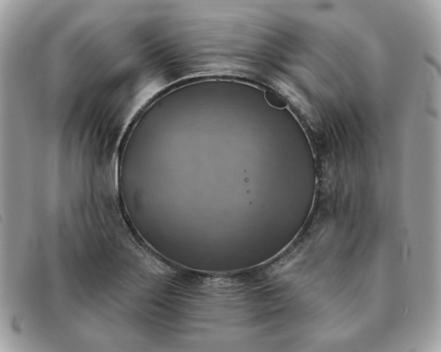 X0000091291275200708171337