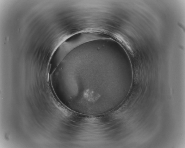 X0000091291276200708171337