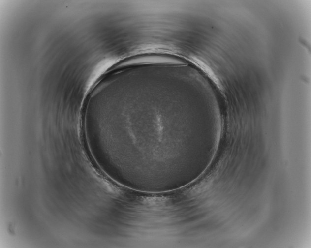 X0000091291277200708171337