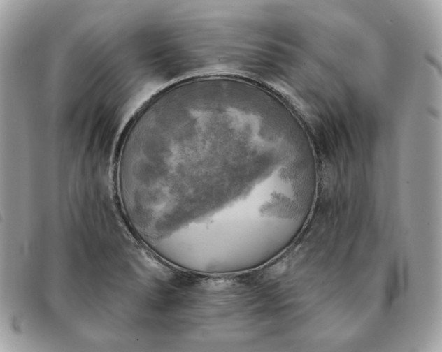 X0000091291278200708171337