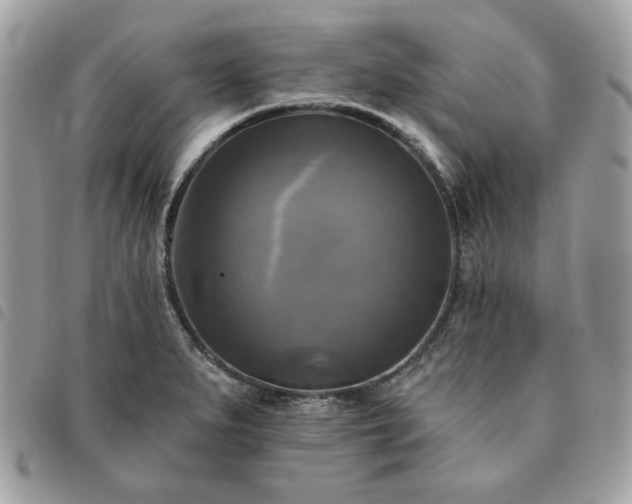 X0000091291279200708171337