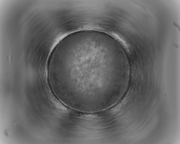 X0000091291280200708171337