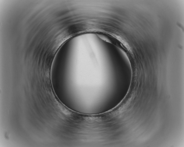 X0000091291281200708171337