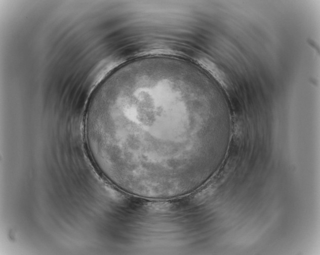 X0000091291282200708171336