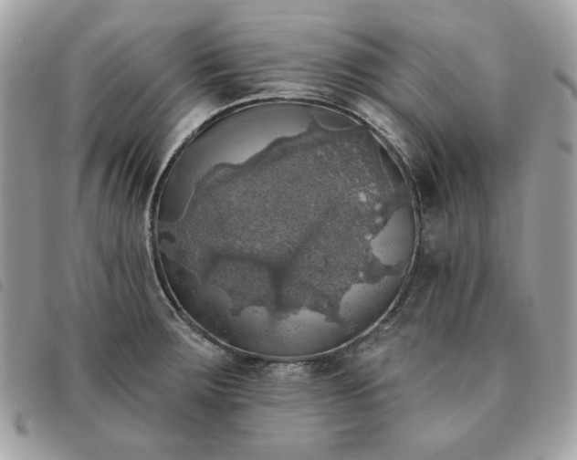 X0000091291283200708171336