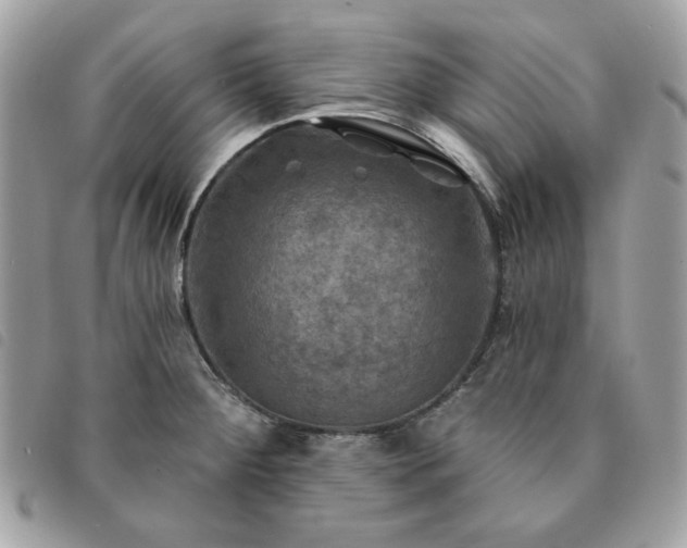 X0000091291284200708171336