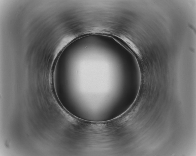 X0000091291285200708171336