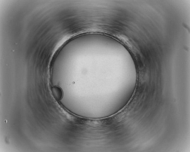 X0000091291286200708171336