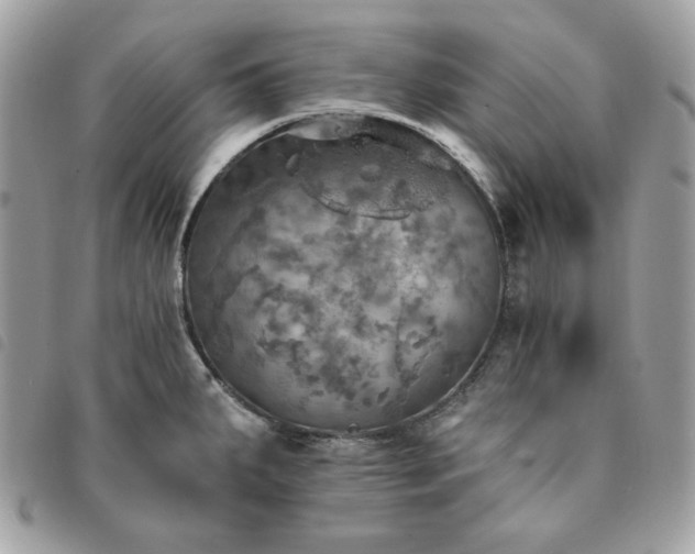 X0000091291287200708171336