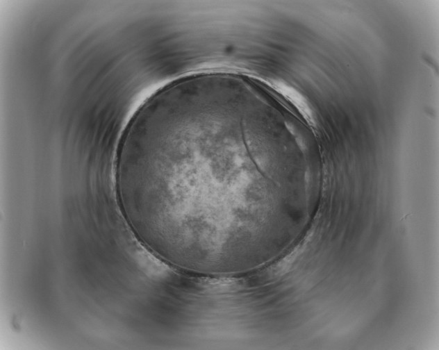 X0000091291288200708171336