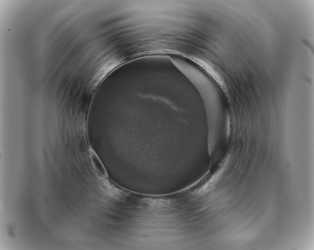 X0000091291289200708171336