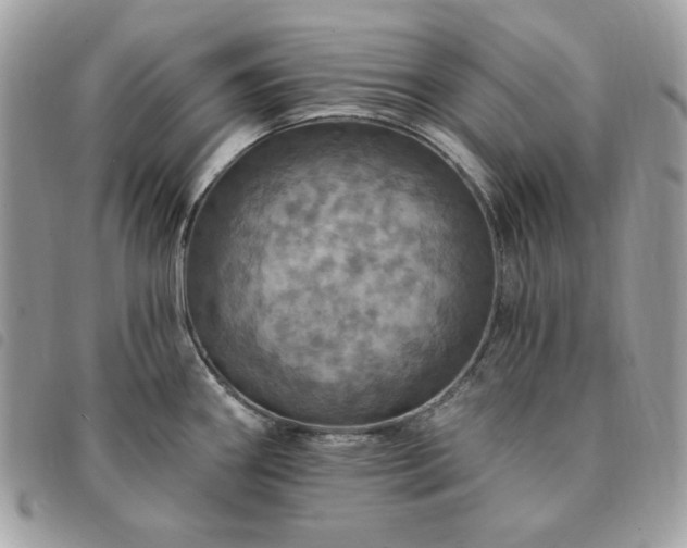 X0000091291290200708171336