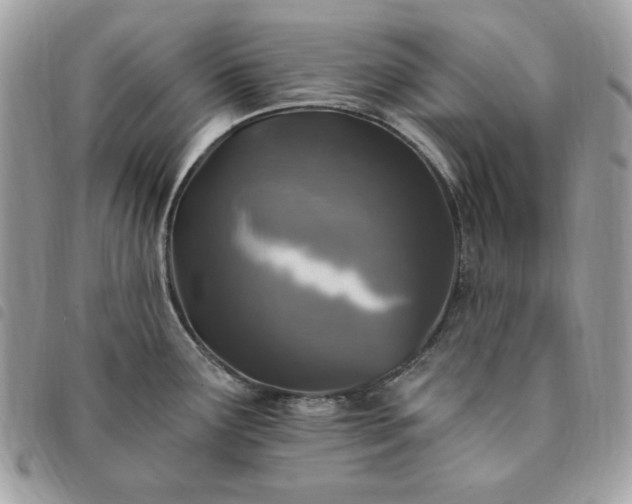 X0000091291291200708171336