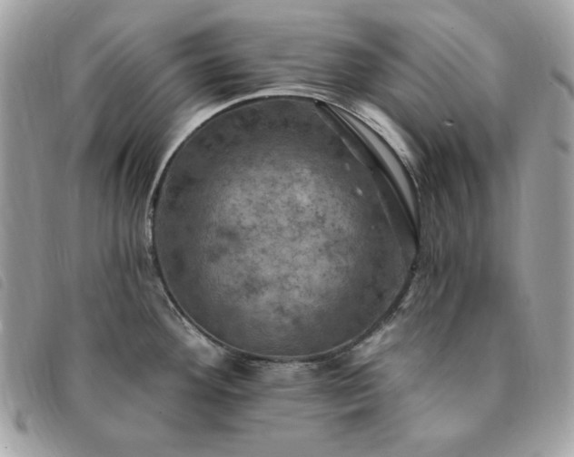 X0000091291292200708171336