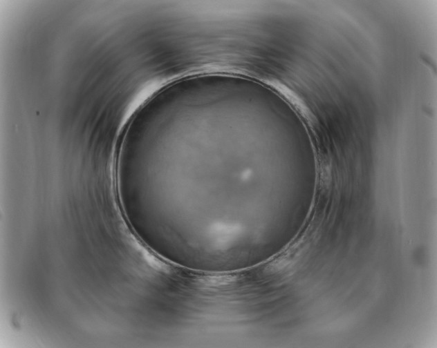 X0000091291294200708171336