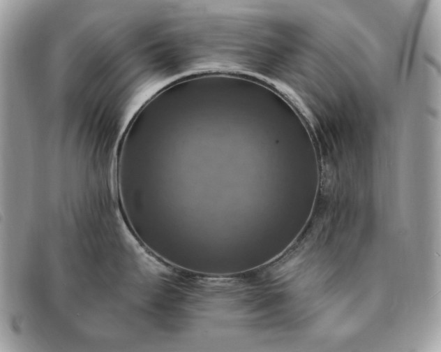 X0000091291295200708171336