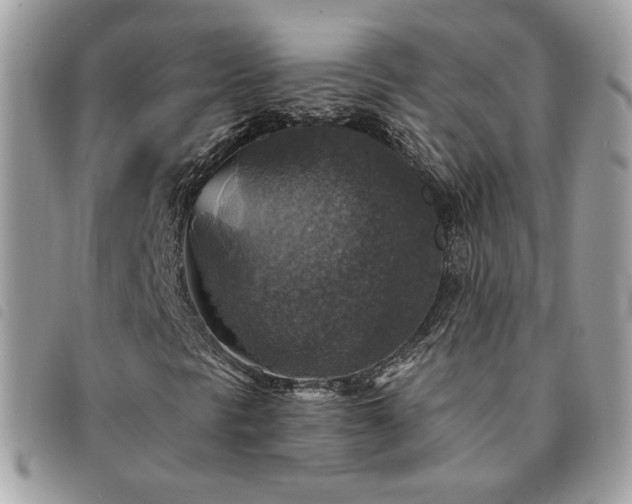 X0000091291297200708171335