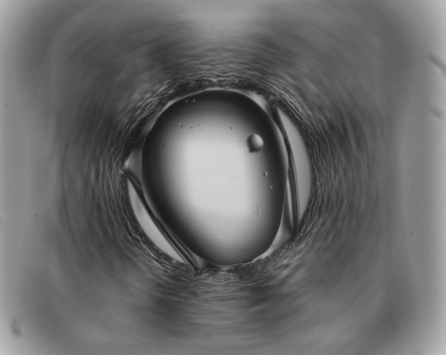 X0000091291298200708171335