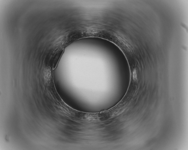 X0000091291299200708171335