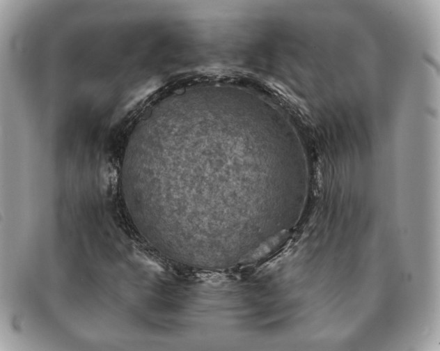 X0000091291302200708171336