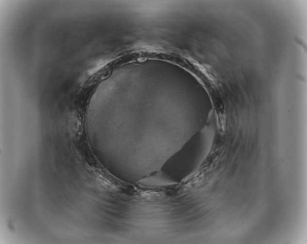 X0000091291303200708171336