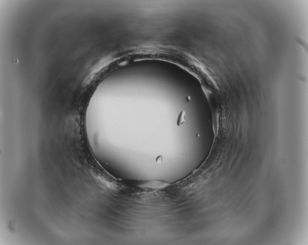 X0000091291304200708171336