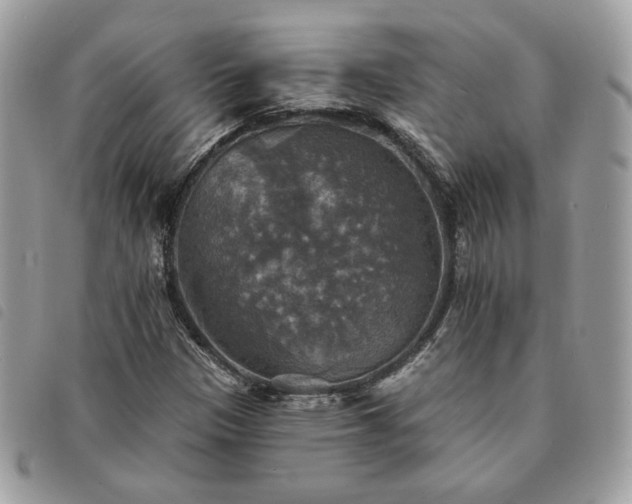 X0000091291305200708171336