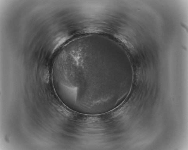 X0000091291306200708171336