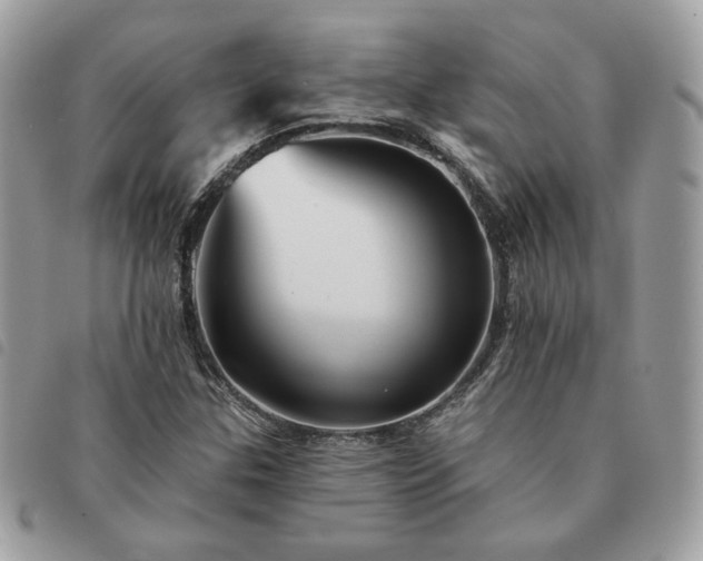 X0000091291307200708171336