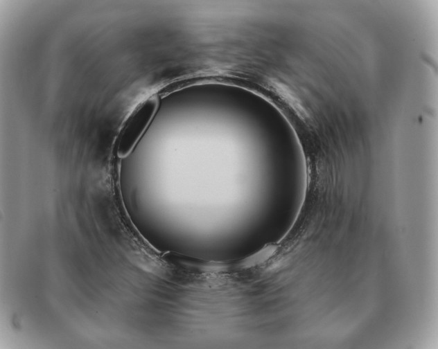 X0000091291308200708171336