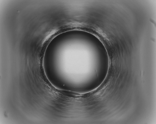 X0000091291309200708171336