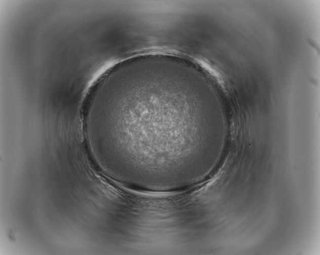 X0000091291310200708171336