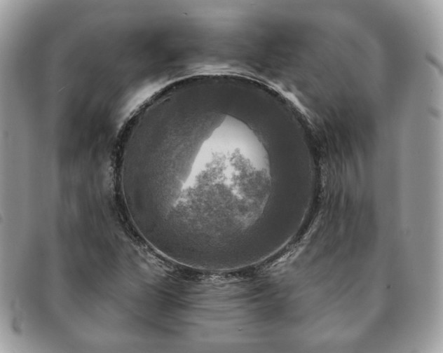 X0000091291311200708171336