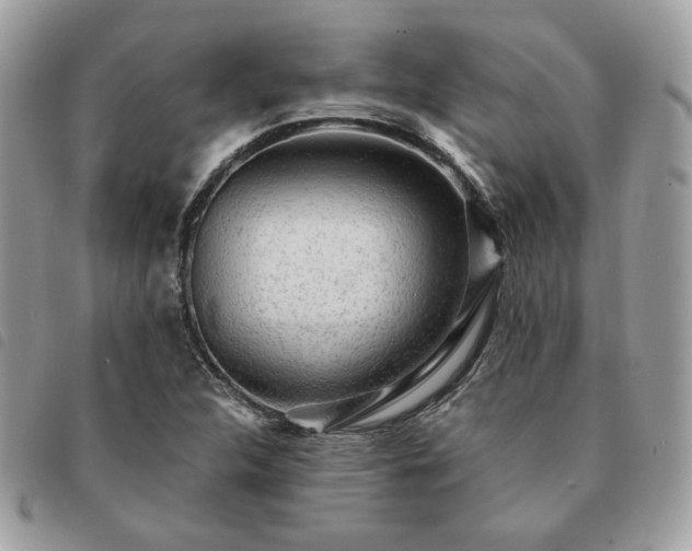 X0000091291312200708171336