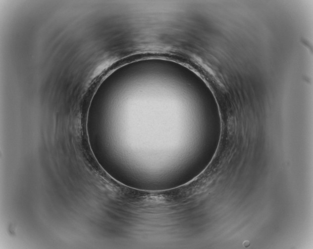 X0000091291315200708171336