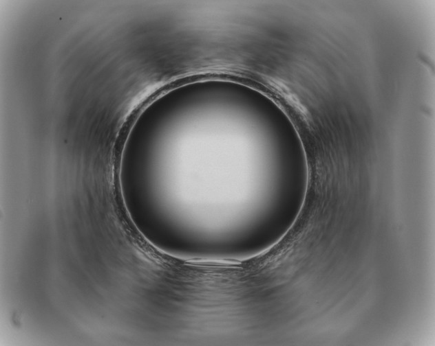 X0000091291316200708171336