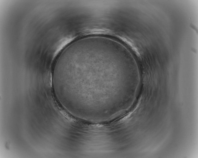 X0000091291317200708171336