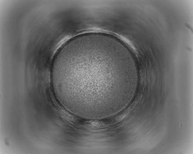 X0000091291318200708171336