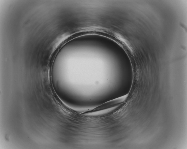 X0000091291320200708171336