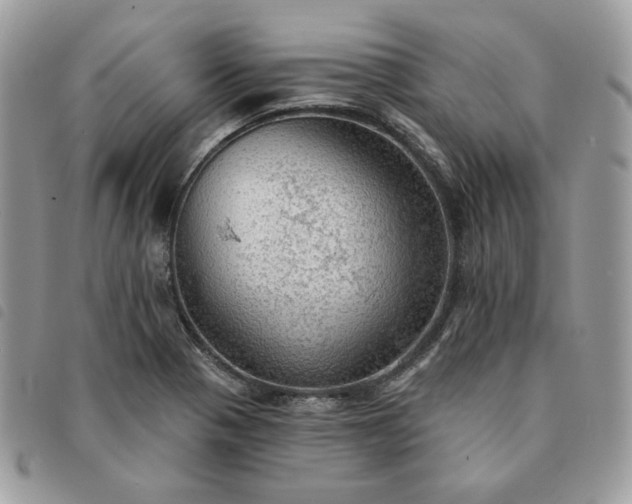 X0000091291321200708171336