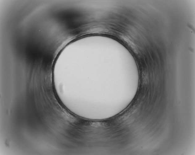 X0000091291322200708171336