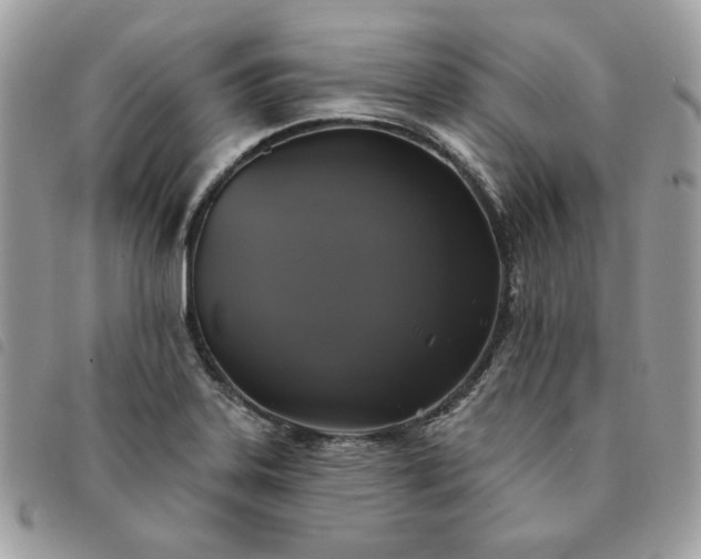 X0000091291323200708171336